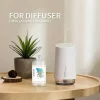 recharge d'huile de diffuseur de parfum rafraîchissant, compatible avec les diffuseurs, les humidificateurs et les parfums de voiture – frag essen multifonctionnel pour la maison