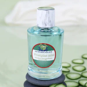 Parfum homme cèdre menthe parfum longue durée pendant 8 heures 100 ml parfum original de marque parfum boisé frais et naturel