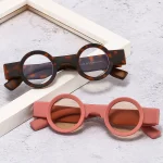 Ins-Petites lunettes de soleil rondes pour femmes et hommes, nuances punk rétro, mode UV400, lentille océan transparente, tendance, populaire