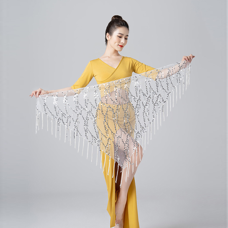 Costumes de danse du ventre pour femmes, nouveau Style, paillettes scintillantes, ceintures de danse du ventre indiennes, mouchoir de hanche, écharpes de danse pour femmes