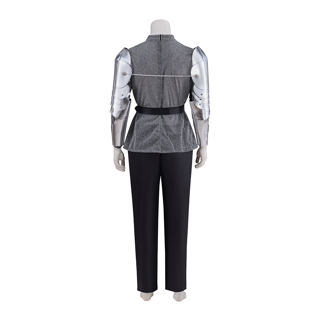 Film Romeo et Juliette Cosplay Costume Romeo chevalier Prince gris tenues hommes Romeo Renaissance médiévale tenues d'Halloween