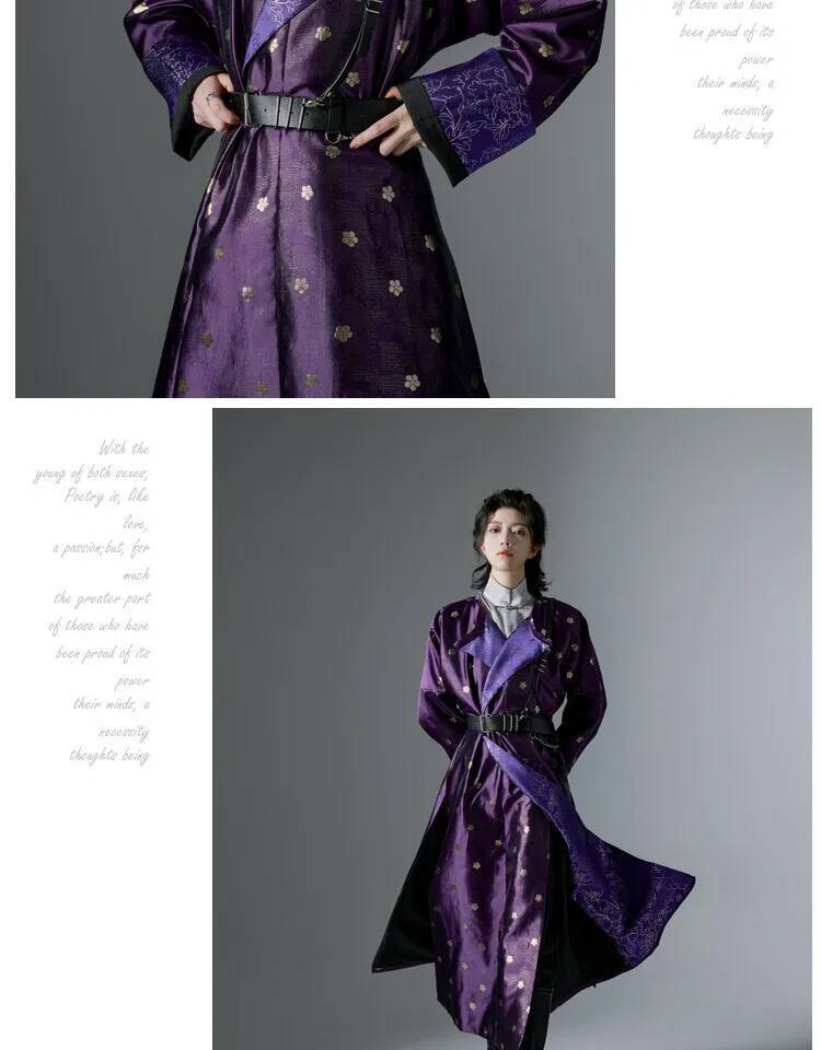 Hommes femmes Vintage danse ethnique Hanfu chinois Robe en soie Costume dynastie Tang violet Hanfu ancien longue Robe Hanfu