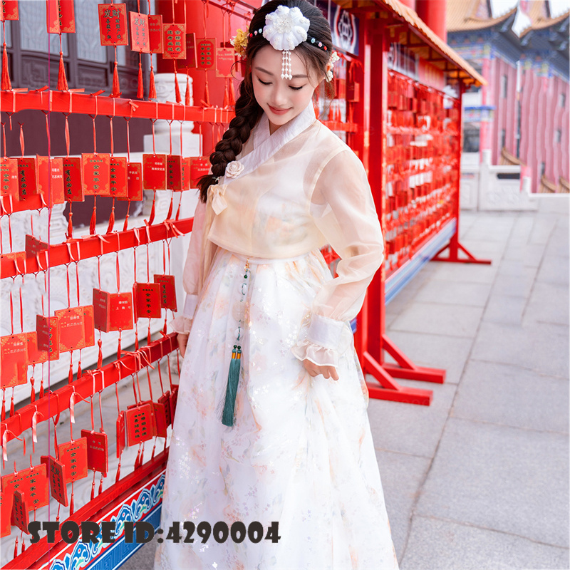 Robe Hanbok Coréenne pour Femme, Costume Traditionnel Ancien pour Spectacle de Danse Folklorique, Tenue de Scène pour Mariage ou Fête, Costume de Danse de la Cour des Minorités