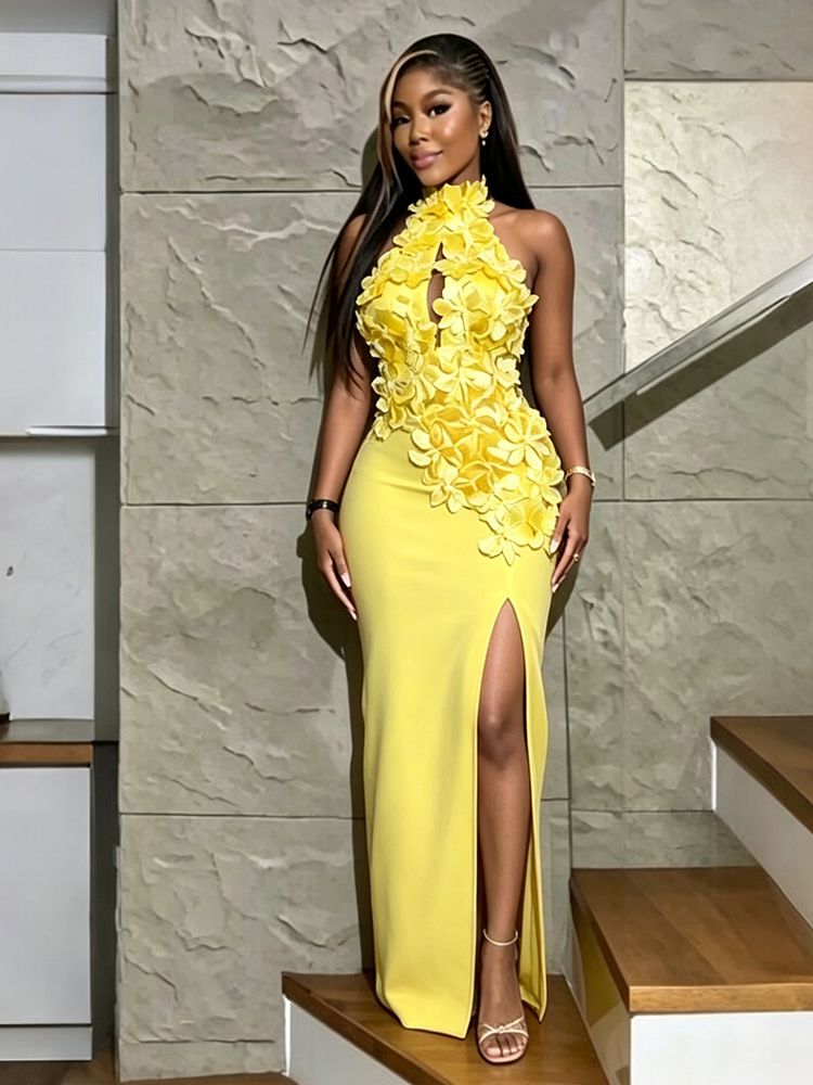 Robe longue de soirée élégante pour femme, dos nu profond, avec appliques, style licou, coupe ajustée, épaules dénudées, robe de soirée maxi