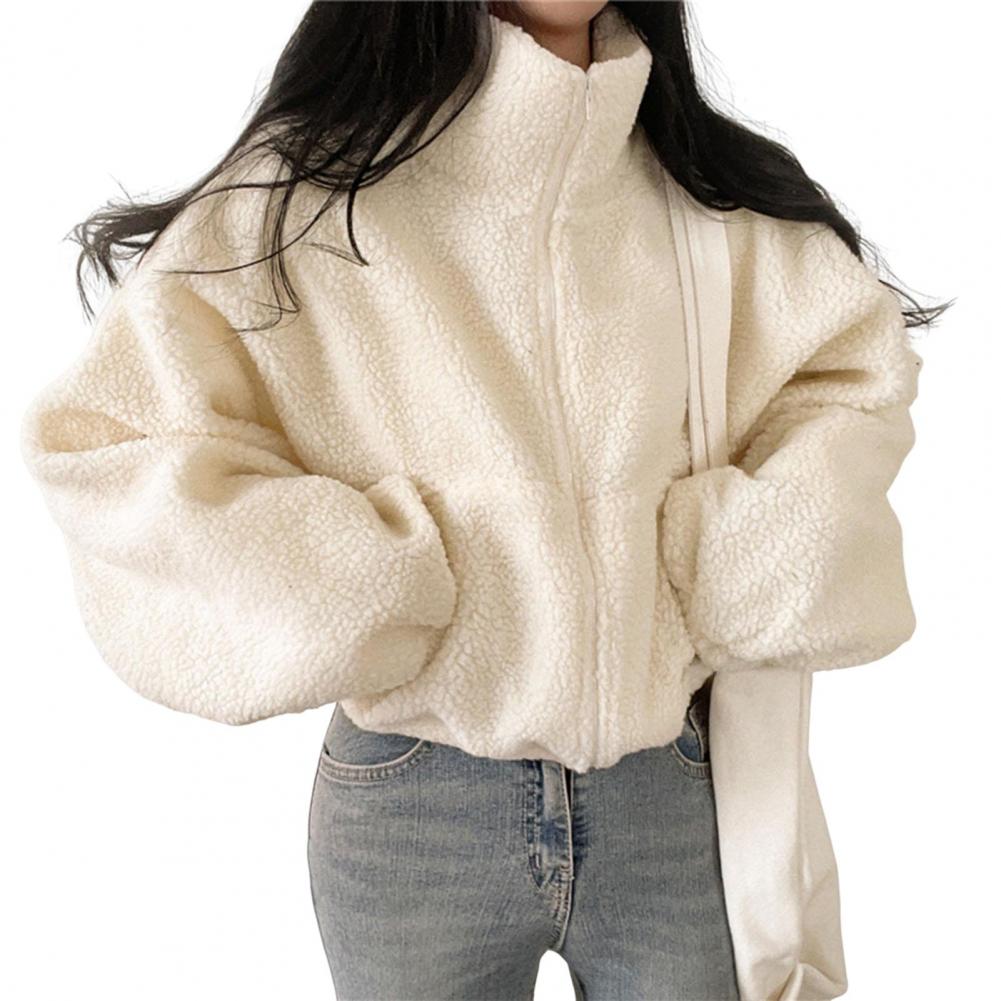 Veste courte en laine d'agneau pour femme, manteau épais et chaud en peluche, à la mode, avec fermeture éclair, col montant, collection automne-hiver 2024
