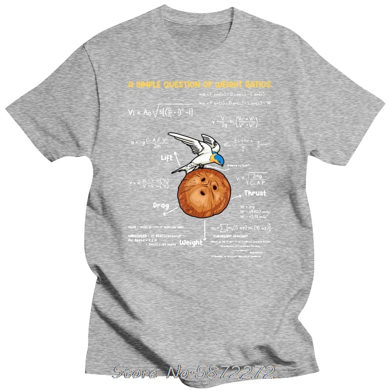 T-shirts pour hommes une question Simple professeur de mathématiques créatif Monty Python coton t-shirt unisexe t-shirt Fitness T-shirts hauts vêtements
