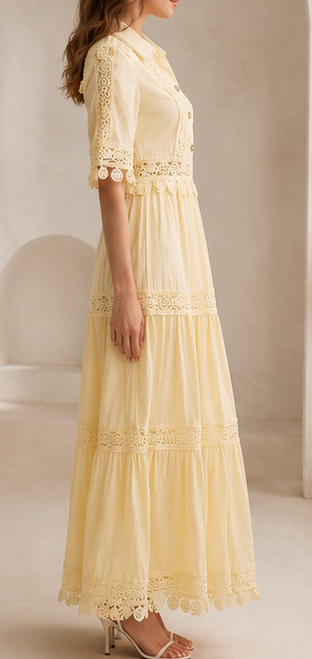 Robe élégante pour femme en soie de lait, artisanat lourd, manches longues