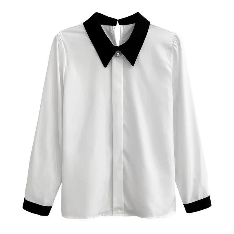 Femmes printemps automne Style Blouses chemises dame décontracté à manches longues col rabattu haut Blouse