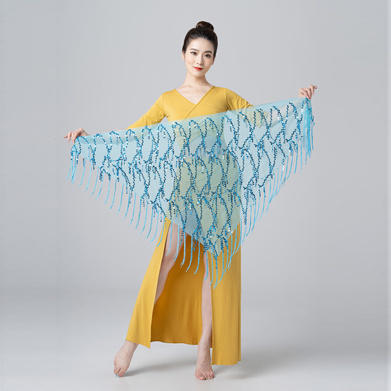 Costumes de danse du ventre pour femmes, nouveau Style, paillettes scintillantes, ceintures de danse du ventre indiennes, mouchoir de hanche, écharpes de danse pour femmes