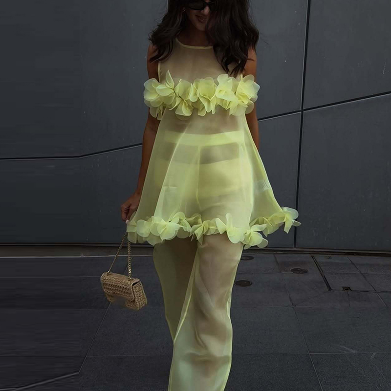 Ensemble 2 pièces décontracté pour femme : débardeur sans manches à col rond et pantalon long, imprimé floral, coupe ample, style sexy et transparent, idéal pour la plage ou les soirées d'été