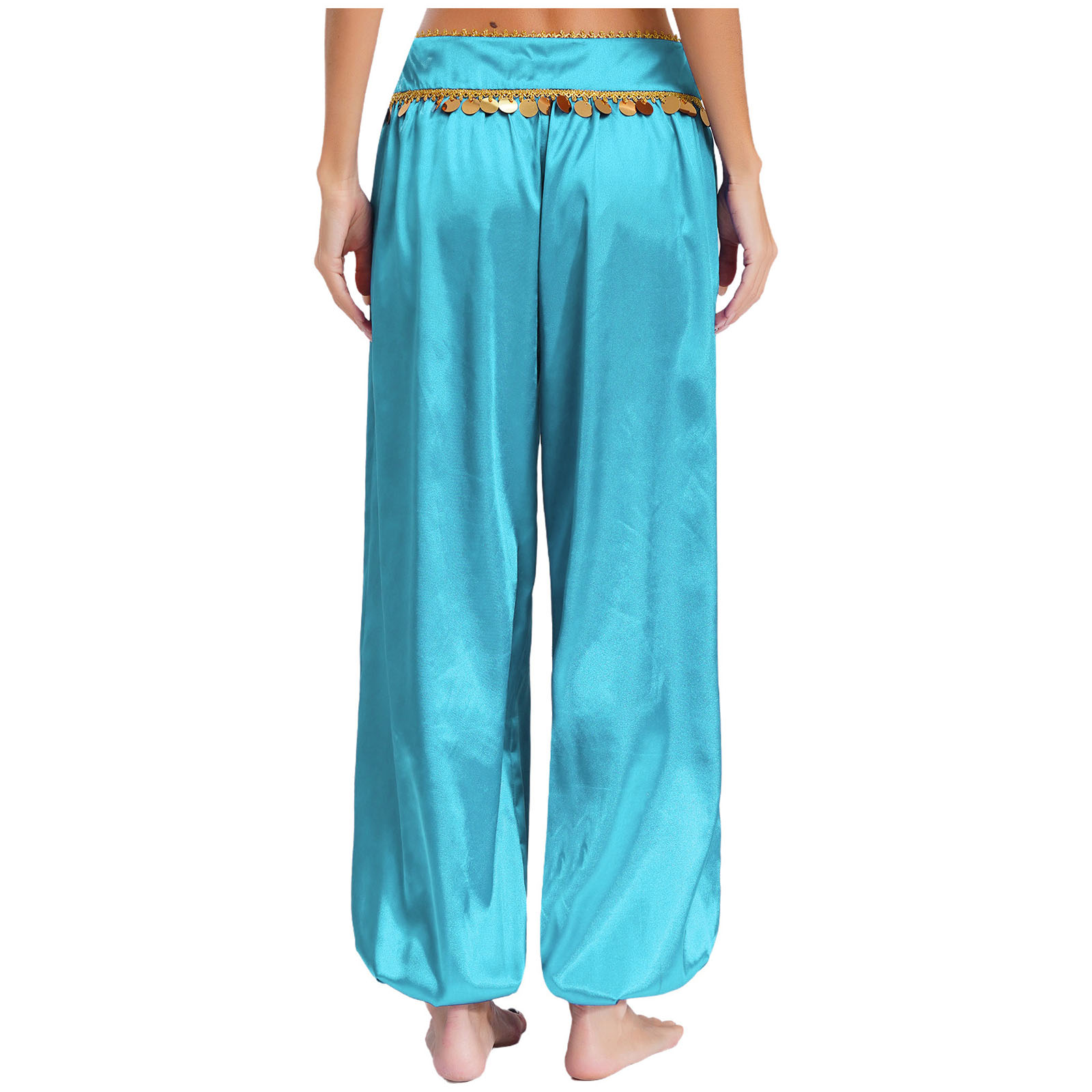 Pantalon de danse orientale indienne pour femmes, style harem, costume de princesse arabe pour cosplay, taille basse, orné de sequins, idéal pour une fête d’Halloween.