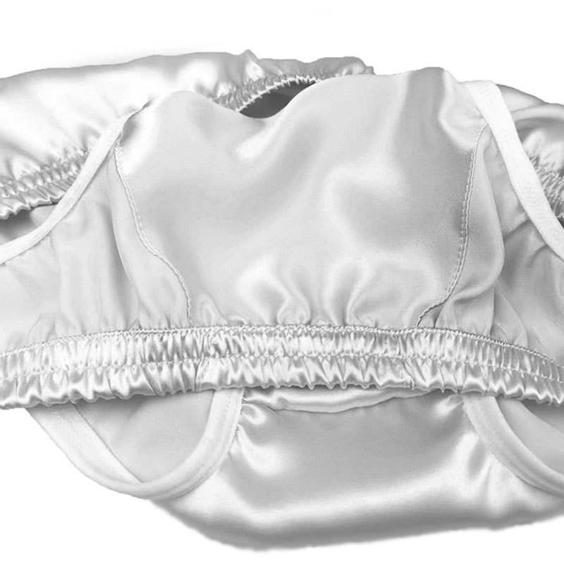 Sous-vêtements 100% soie de mûrier pour hommes, slips sexy à taille basse, doux, respectueux de la peau et soyeux, culotte en soie de haute qualité, grande taille
