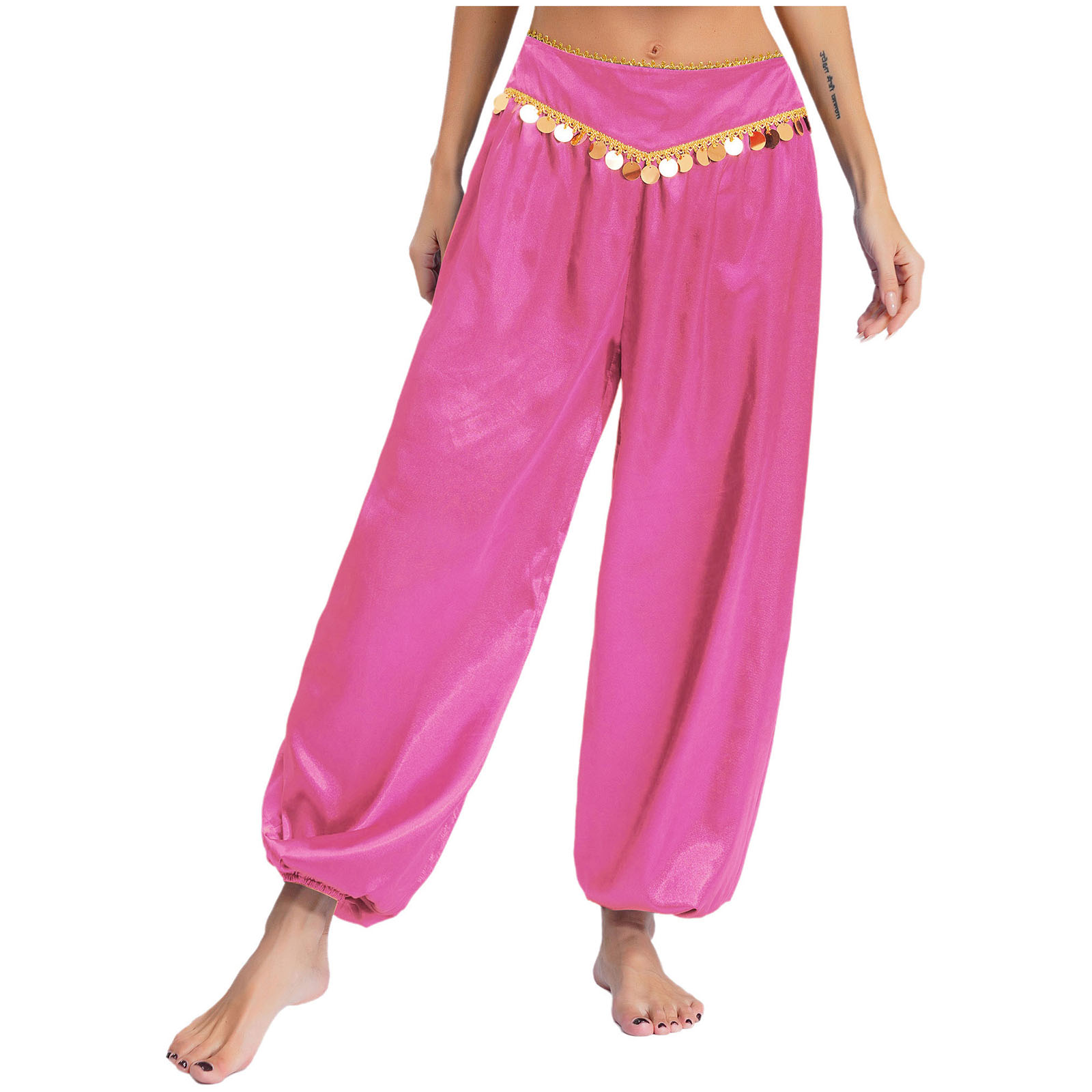 Femmes inde princesse danse du ventre sarouel Oriental indien fille danse Performance Costume scène Halloween arabe Dancewear