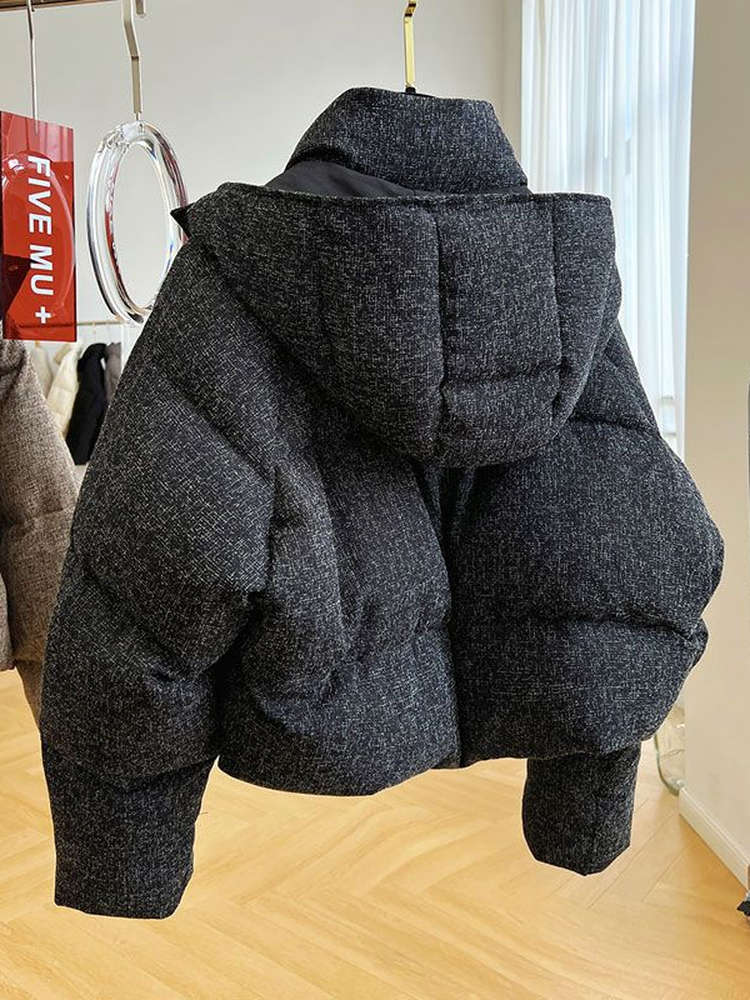 Veste courte à capuche en coton pour femme, manteaux chauds épais à col montant, mode coréenne, vêtements d'extérieur coupe-vent pour dames, hiver