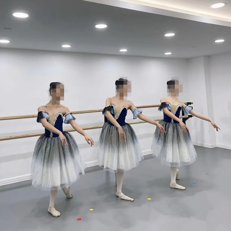 Costume de Ballet Blanc Professionnel pour Adulte, Tutu Long Bleu, FzLake, Robes de brevde Performance, Haut en Velours