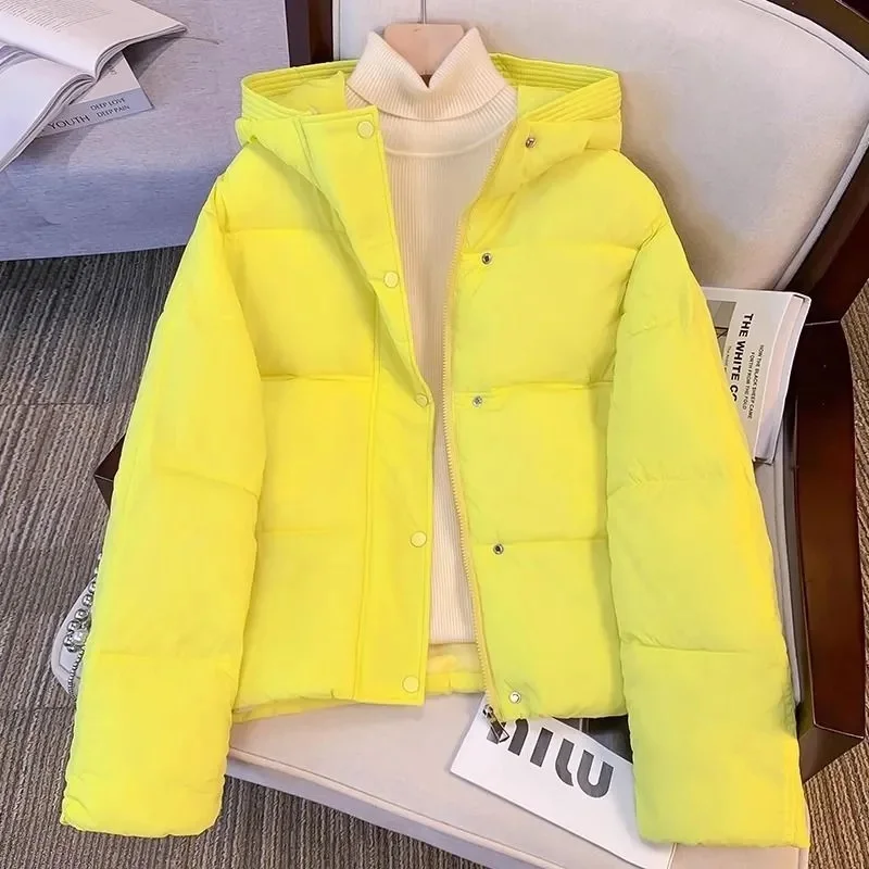 Nouvelle Veste Femme 2026 – Parka d'Hiver en Coton Rembourré, Coupe Ample, Chaude et Épaisse, à Capuche, Manteau Long Décontracté, Imperméable
