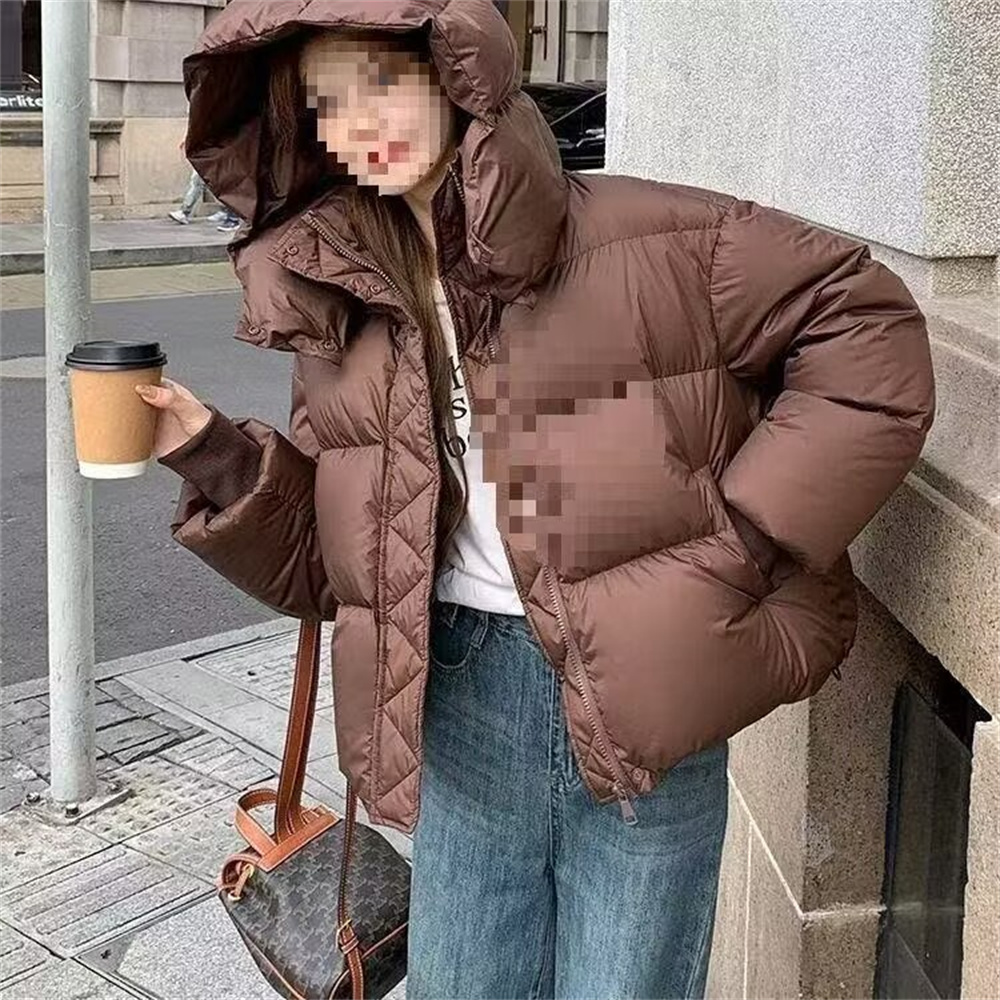 Nouvelle veste d'hiver 2026 pour femme, parka matelassée chaude, veste décontractée à manches longues en coton, manteau à capuche pour la neige, vêtements d'extérieur