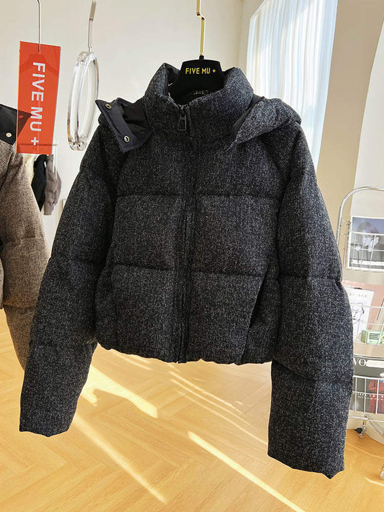 Veste courte à capuche en coton pour femme, manteaux chauds épais à col montant, mode coréenne, vêtements d'extérieur coupe-vent pour dames, hiver