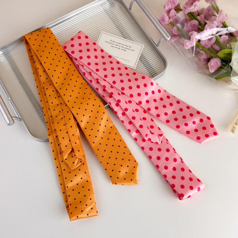 Cravates vintage pour femmes, élégantes écharpes en soie à pois, cravates brodées de style coréen, ceinture multifonctionnelle, cravate