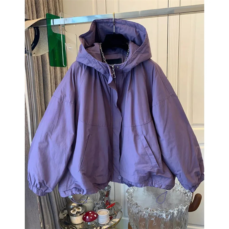 Nouvelle veste courte pour femmes 2025 printemps automne Design Sense à capuche dame vêtements d'extérieur tempérament élégant dames mode manteau