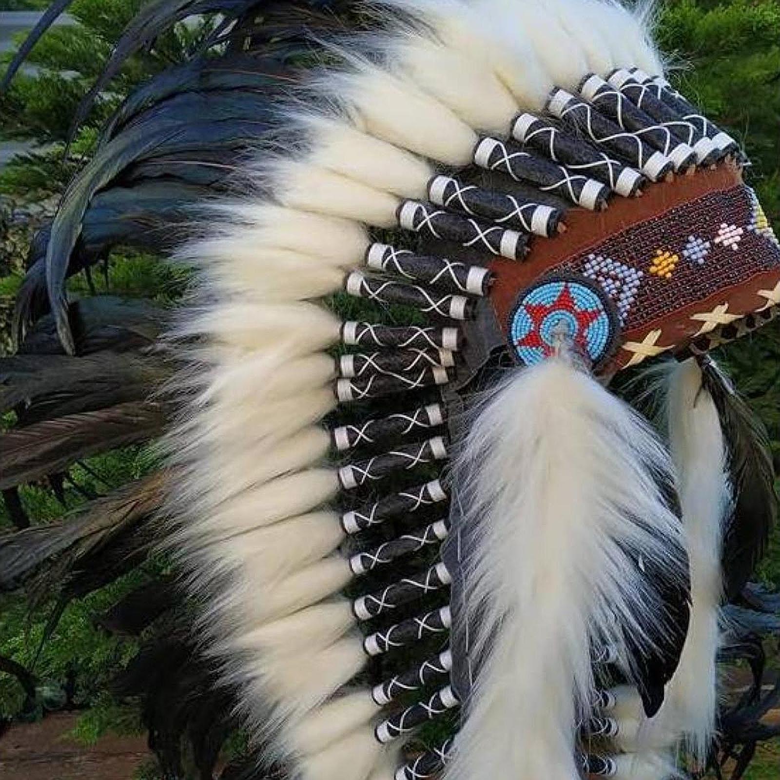 Coiffure de chef indien natif, chapeau, robe fantaisie, Costume décoratif de spectacle, mascarade, spectacle de danse, fête à thème, coiffure en plumes