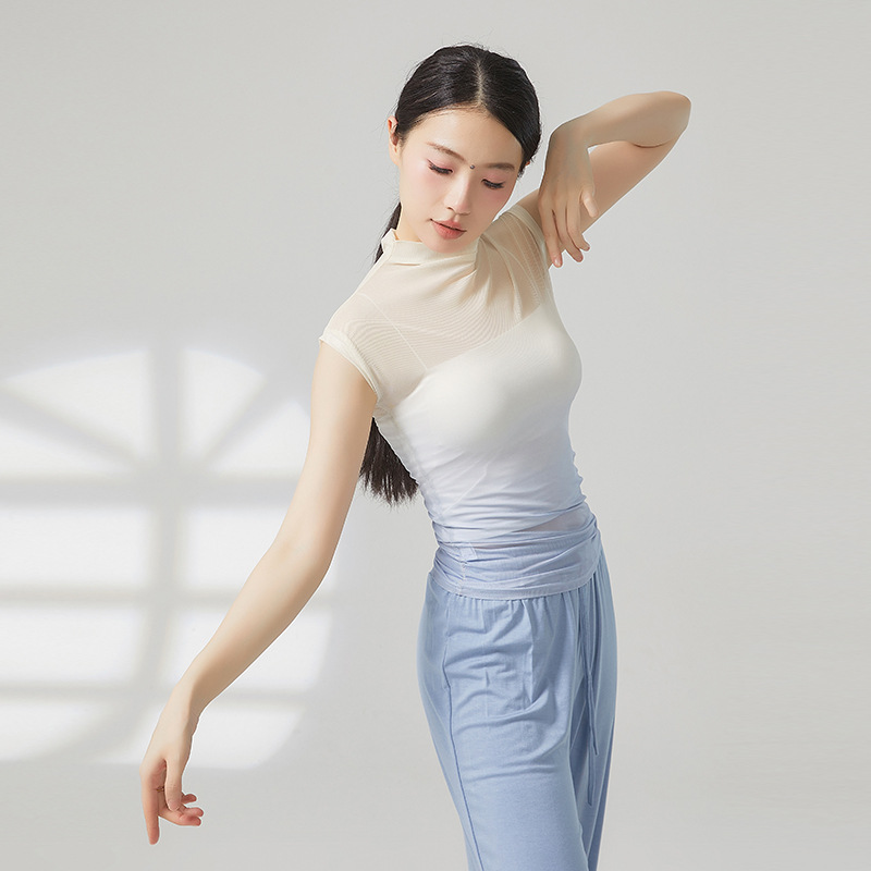 Haut en gaze sans manches pour femmes, maille transparente dégradée, chemise sexy, col haut, tenue de ballet classique moderne, vêtements d'entraînement, nouveau