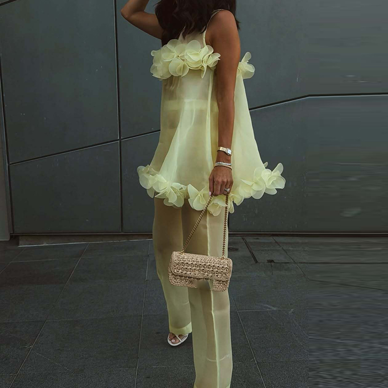Ensemble 2 pièces décontracté pour femme : débardeur sans manches à col rond et pantalon long, imprimé floral, coupe ample, style sexy et transparent, idéal pour la plage ou les soirées d'été
