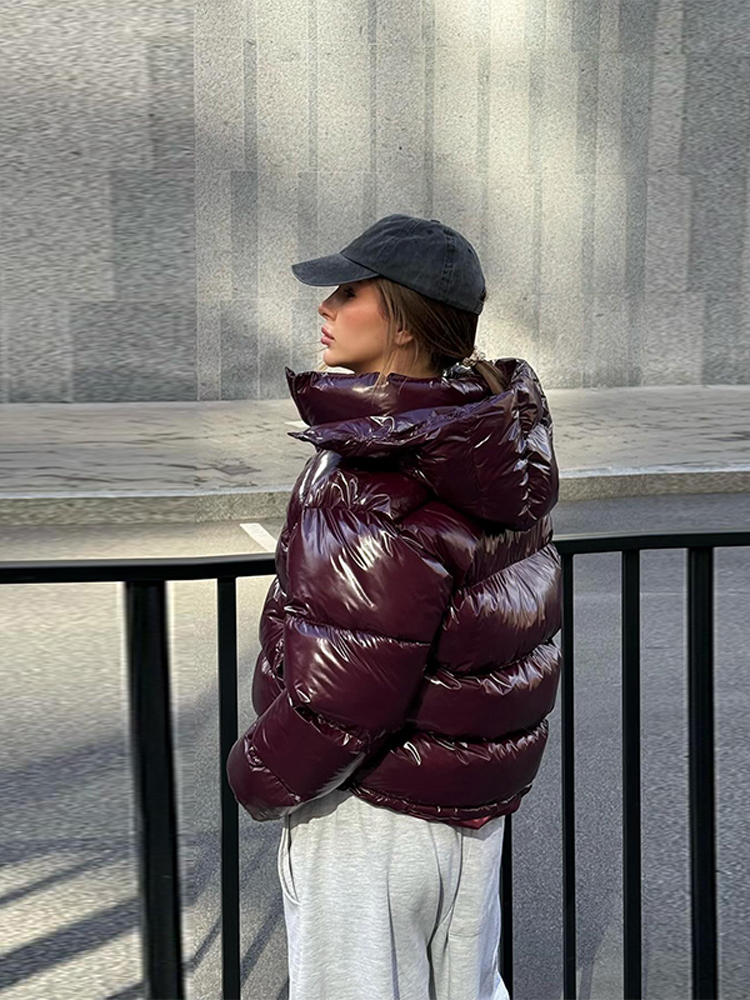Vestes d'hiver pour femmes 2026 avec capuche, col montant décontracté, fermeture éclair, manches longues, manteau chaud pour femme, veste d'hiver chic et tendance, nouvelle collection.