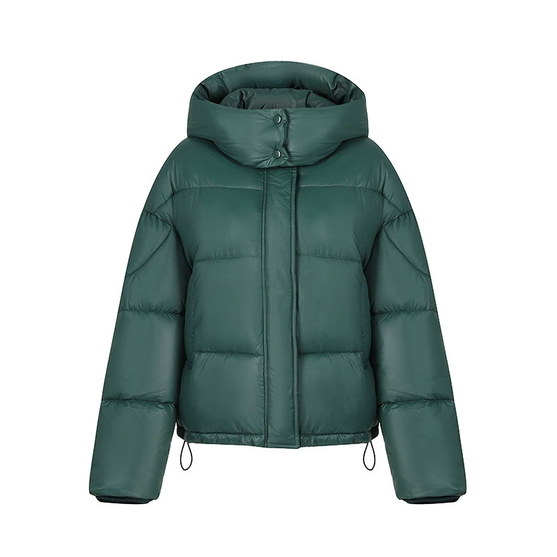 Manteau d'hiver 2026 pour femmes, en coton épais, coupe ample, à capuche, nouveau modèle court, rembourré en coton, parka pour femmes.