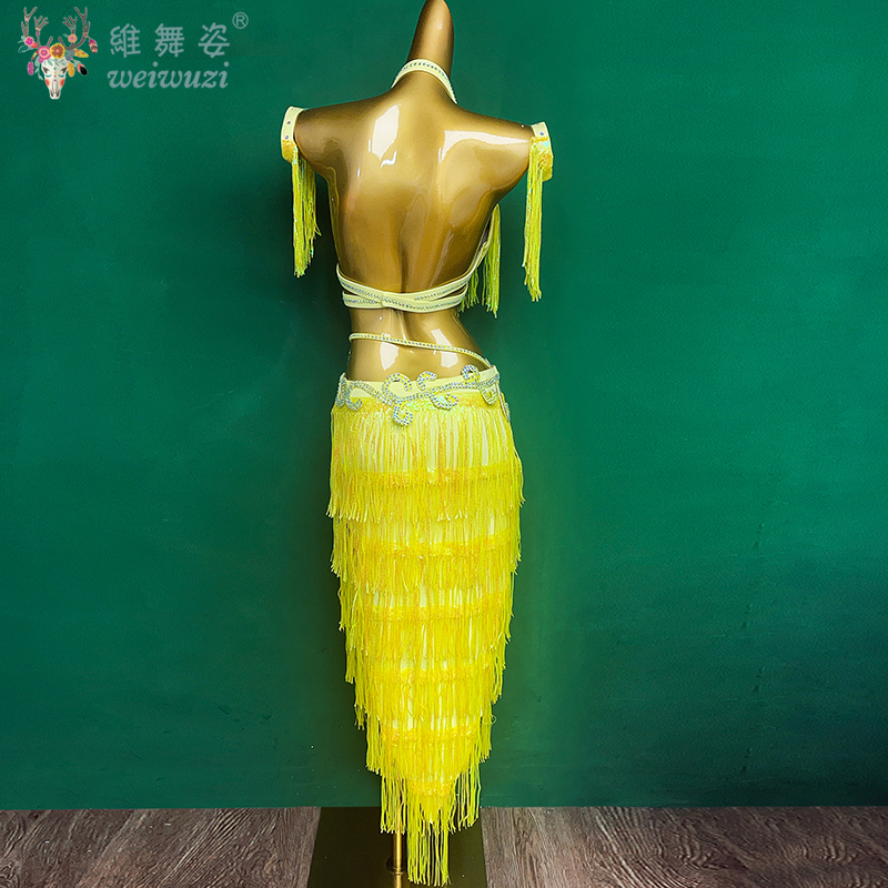 Costume de danse du ventre pour femmes, personnalisé, haut de gamme, paillettes, pompon, Costume de spectacle, tenue de concours de danse orientale