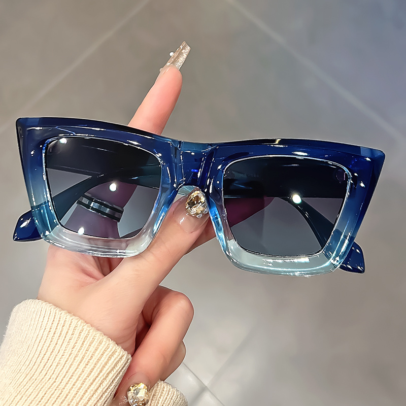 Lunettes élégantes œil de chat avec monture bleu dégradé et transparente, verres PC noirs, charnières métalliques