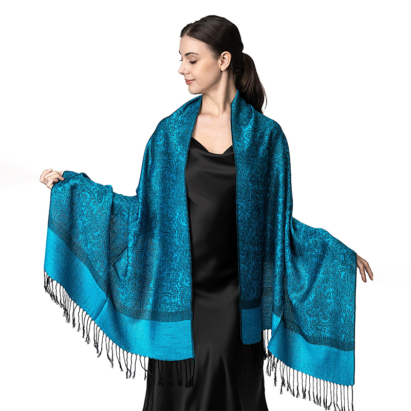Nouvelle mode tout-match imitation cachemire Pashmina paisley gland écharpe longue écharpe châle pour toutes les saisons