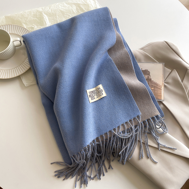 Écharpe en cachemire de style coréen pour femme, foulard de la présidence, enveloppes double face, document solide, chaud, hiver, nouvelle mode, 2023