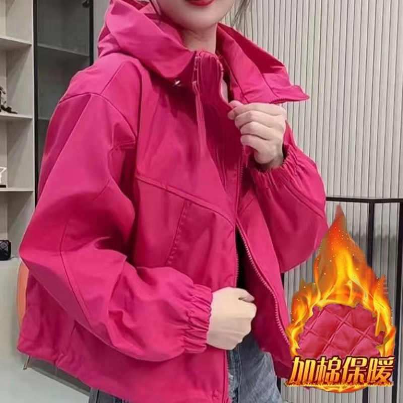 Veste courte rembourrée en coton pour femmes, manteaux épais à capuche avec fermeture éclair et cordon de serrage, veste thermique en peluche, coupe-vent d'extérieur pour Camping
