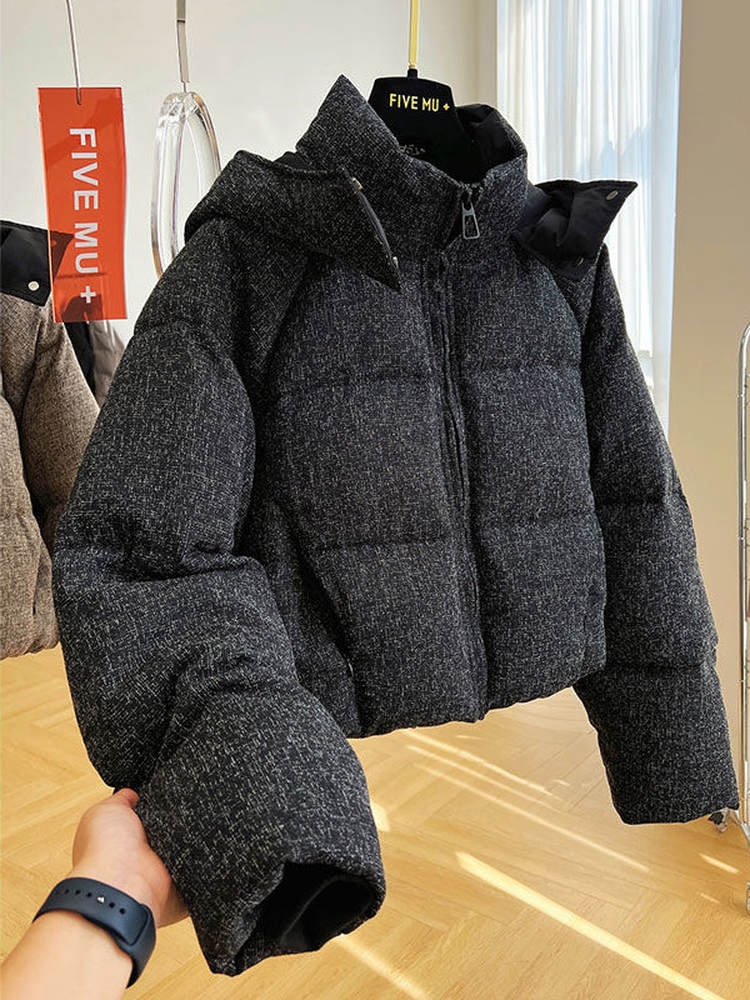 Veste courte à capuche en coton pour femme, manteaux chauds épais à col montant, mode coréenne, vêtements d'extérieur coupe-vent pour dames, hiver