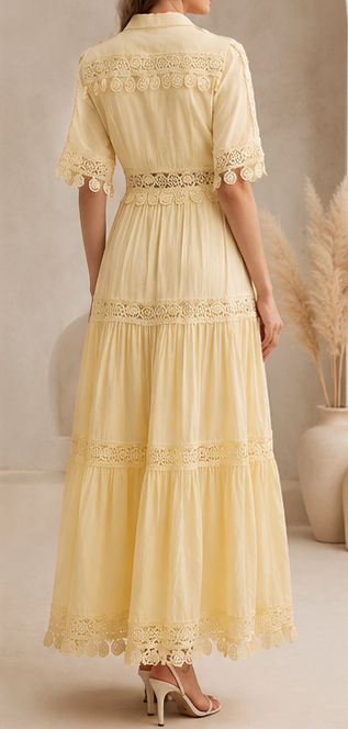 Robe élégante pour femme en soie de lait, artisanat lourd, manches longues