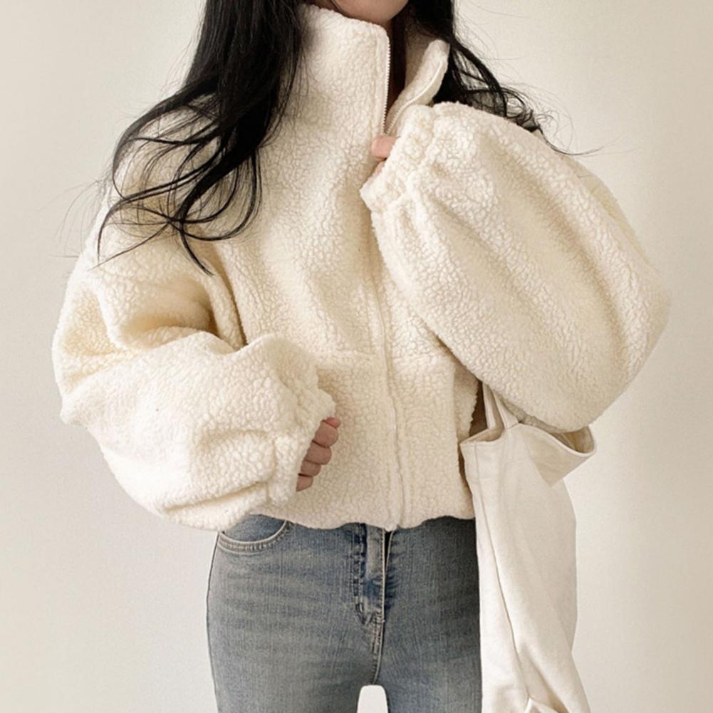Veste courte en laine d'agneau pour femme, manteau épais et chaud en peluche, à la mode, avec fermeture éclair, col montant, collection automne-hiver 2024