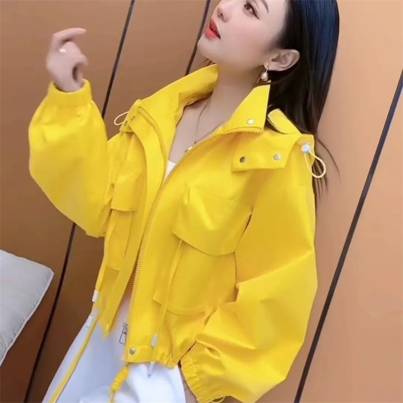 Veste à capuche ample pour femme coréenne, manteau court Stormtrooper, mode loisirs, manches longues, vêtements d'extérieur, printemps automne