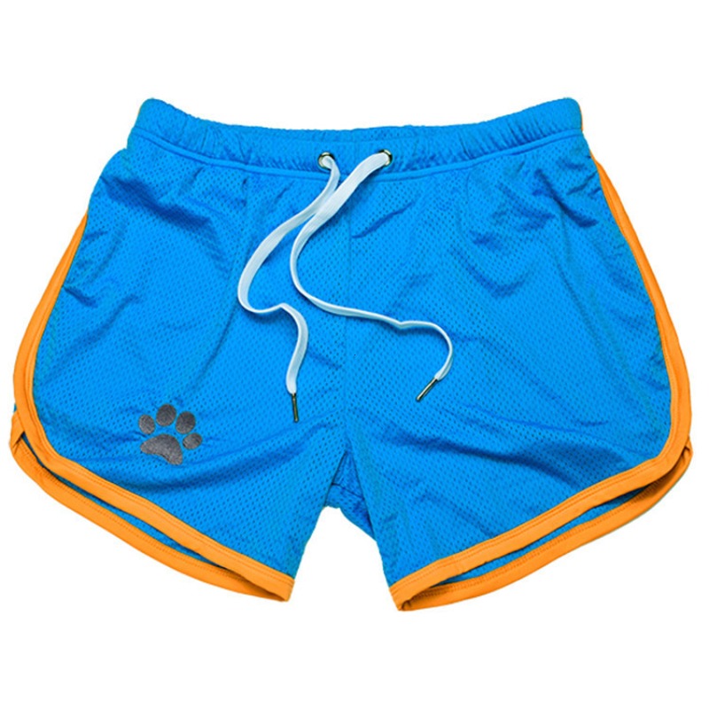 Nouveaux Shorts de sport d'été hommes pantalons de survêtement de Fitness pantalons courts respirants hommes salle de sport séchage rapide survêtement maille hommes Shorts de plage