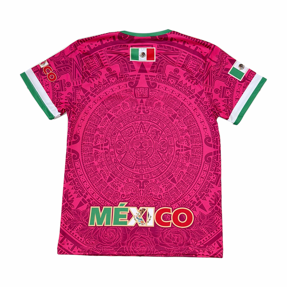 Nouveau maillot unisexe Virgencita Mexique 2026 couleur rose vif - T-shirt officiel unisexe pour événements religieux et culturels