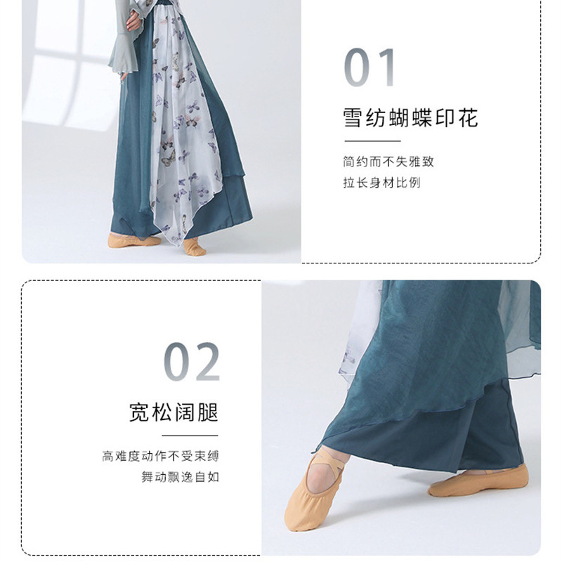 Pantalon de danse 2 couches pour femmes, jupe-culotte en mousseline de soie imprimée, jupe fluide, ample, jambes larges, moderne, Hanfu, vêtements d'entraînement élégants