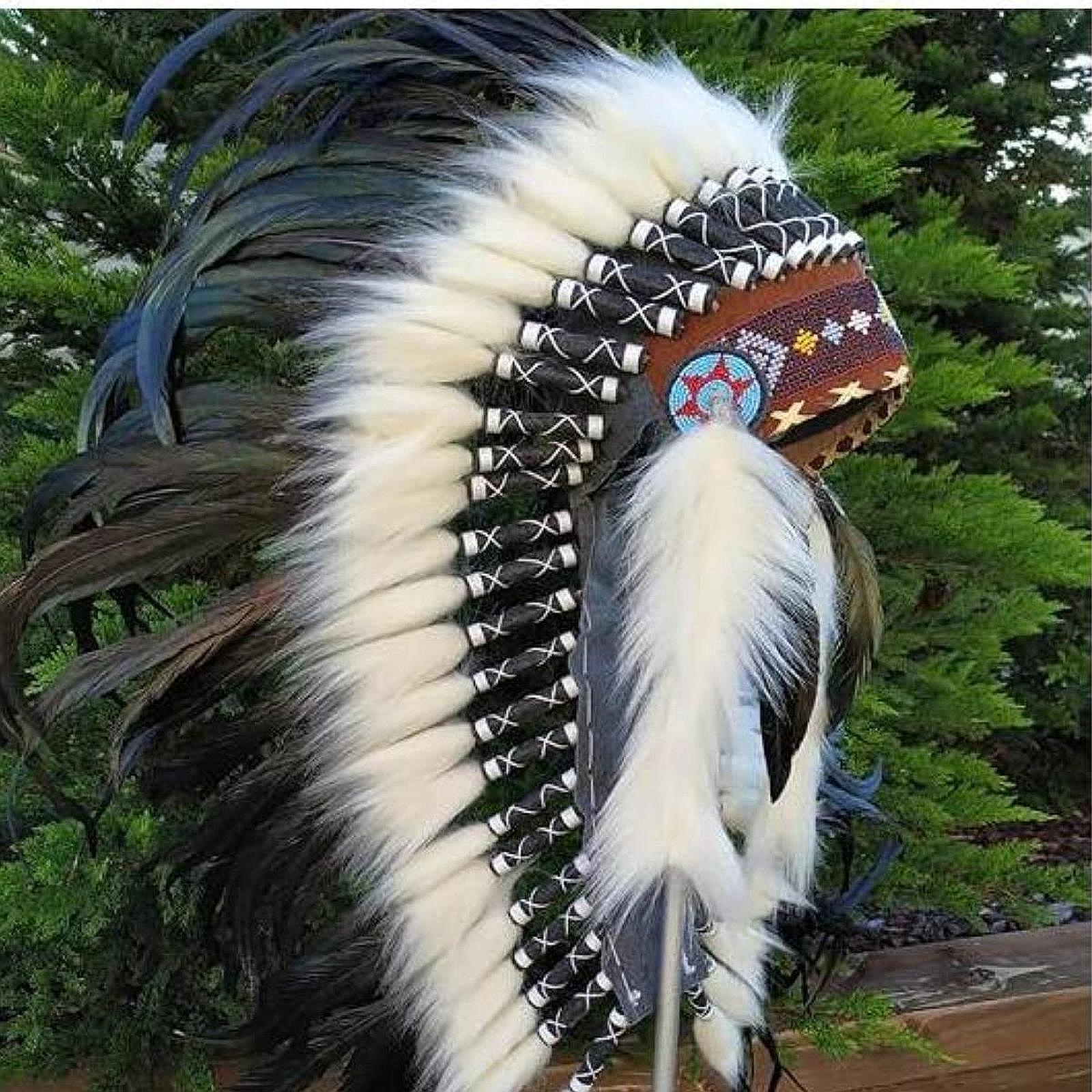 Coiffure de chef indien natif, chapeau, robe fantaisie, Costume décoratif de spectacle, mascarade, spectacle de danse, fête à thème, coiffure en plumes