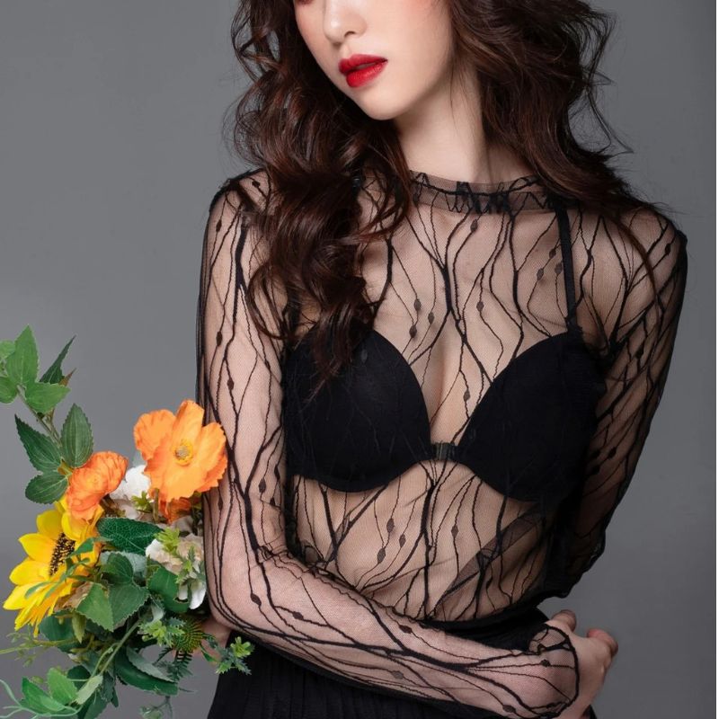 T-shirt élégant en dentelle pour femmes, hauts à manches longues en maille, haut Transparent, chemisier Transparent, chemises à col haut