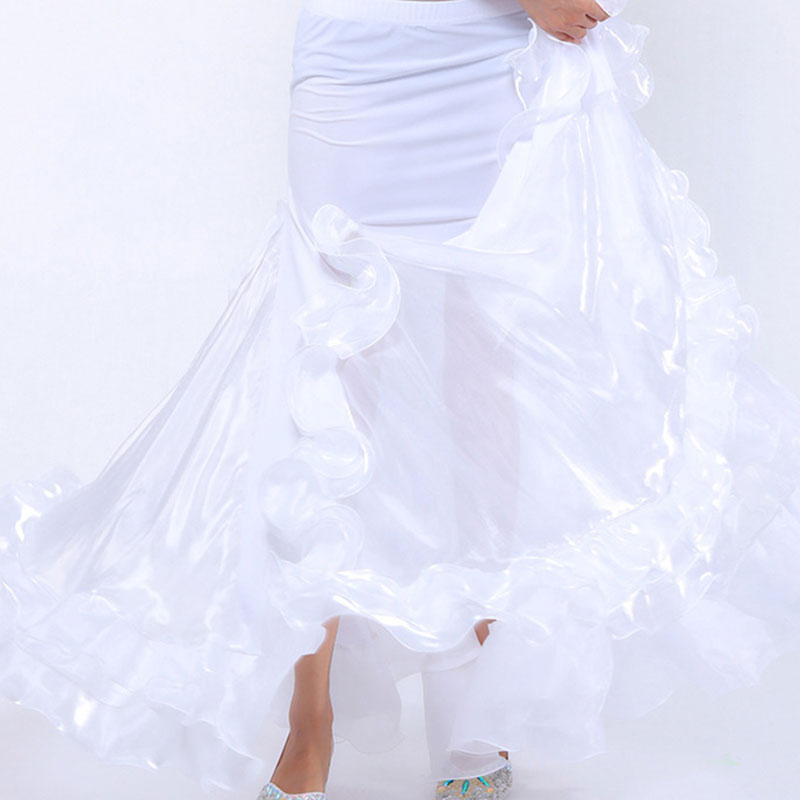 Femmes en mousseline de soie danse du ventre jupe Costume adulte arabe pratique leçon classe porter robe fête Performance Dancewear Costume tenue