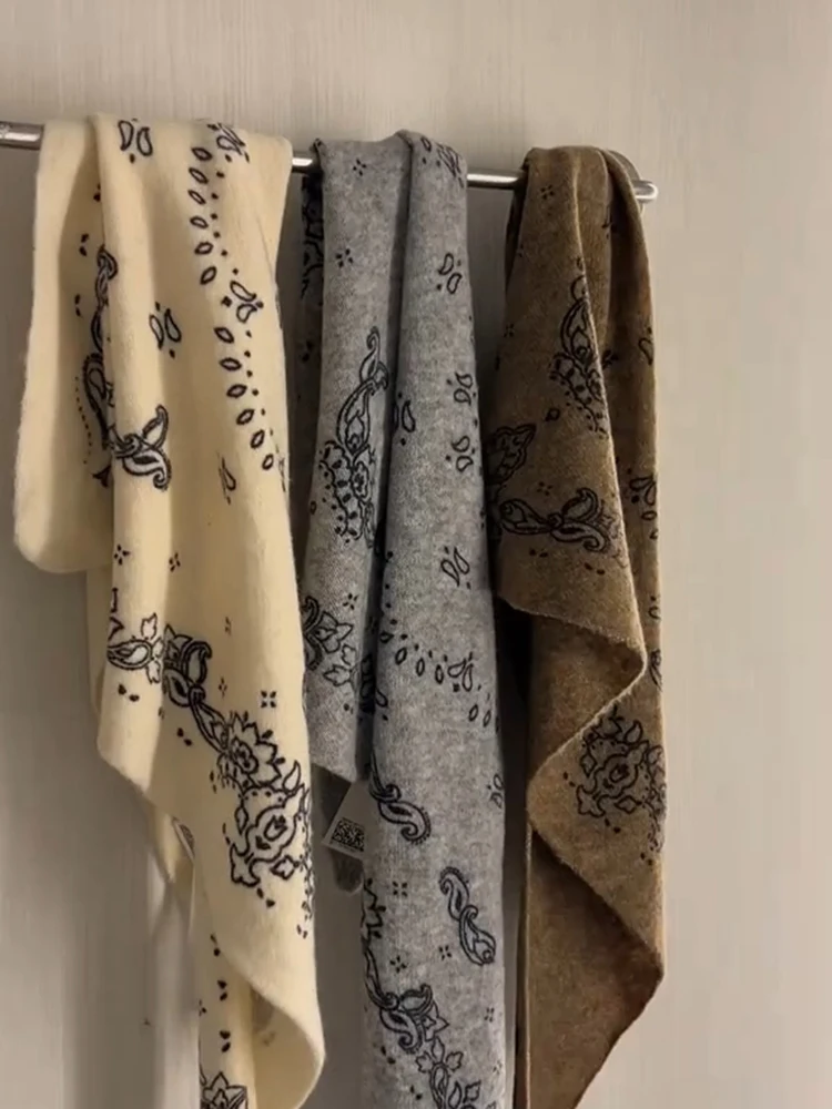 Écharpe vintage pour femme à imprimé paisley, châle long doux et chaud pour l'automne et l'hiver, écharpes chics pour le cou, mode décontractée, usage quotidien et extérieur, 2026