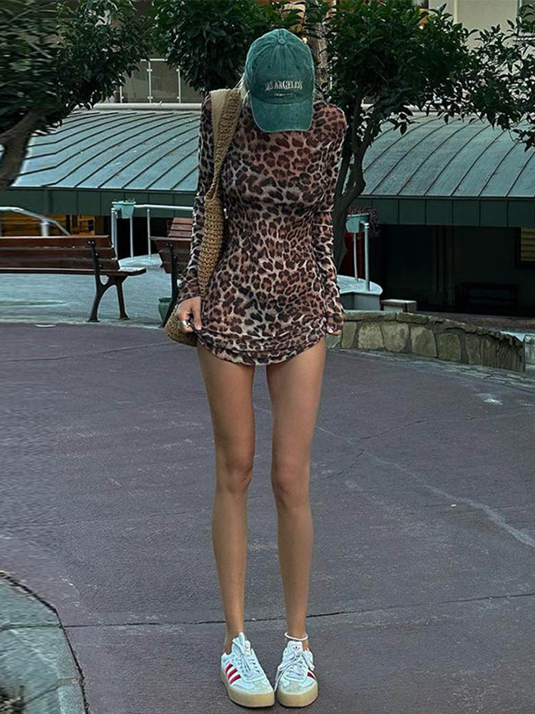 Ensemble deux pièces imprimé léopard, robe trapèze pour femmes, Sexy, maille transparente, mode de rue, imprimé Animal, tenue d'été chaude