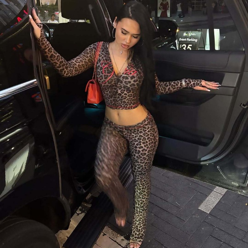 Ensemble assorti 2 pièces imprimé léopard pour femmes, haut court à manches longues avec fermeture éclair + pantalon évasé taille haute, tenue streetwear Y2K