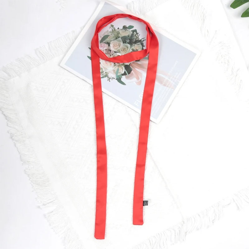 Écharpe en soie unie 160 cm x 2,5 cm, rubans de mode pour sacs, foulard fin pour femme, écharpe longue pour sac, foulard de cou
