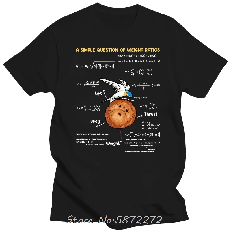 T-shirts pour hommes une question Simple professeur de mathématiques créatif Monty Python coton t-shirt unisexe t-shirt Fitness T-shirts hauts vêtements