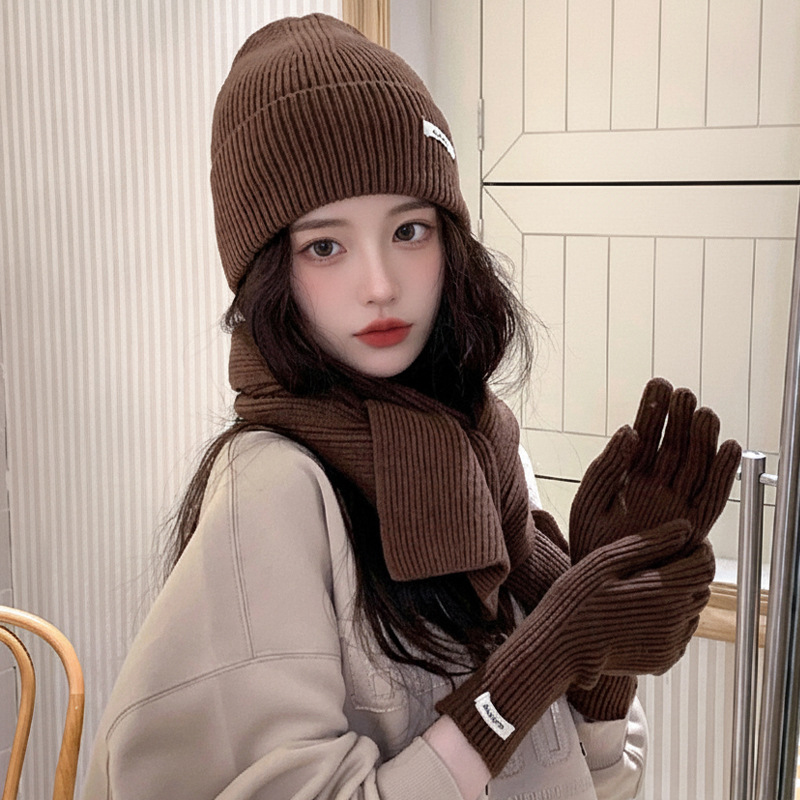 Hiver laine tricoté chapeau écharpe femmes écharpe gants ensemble confortable doux décontracté cachemire chaud chapeau en plein air coupe-vent casquette d'équitation ensemble